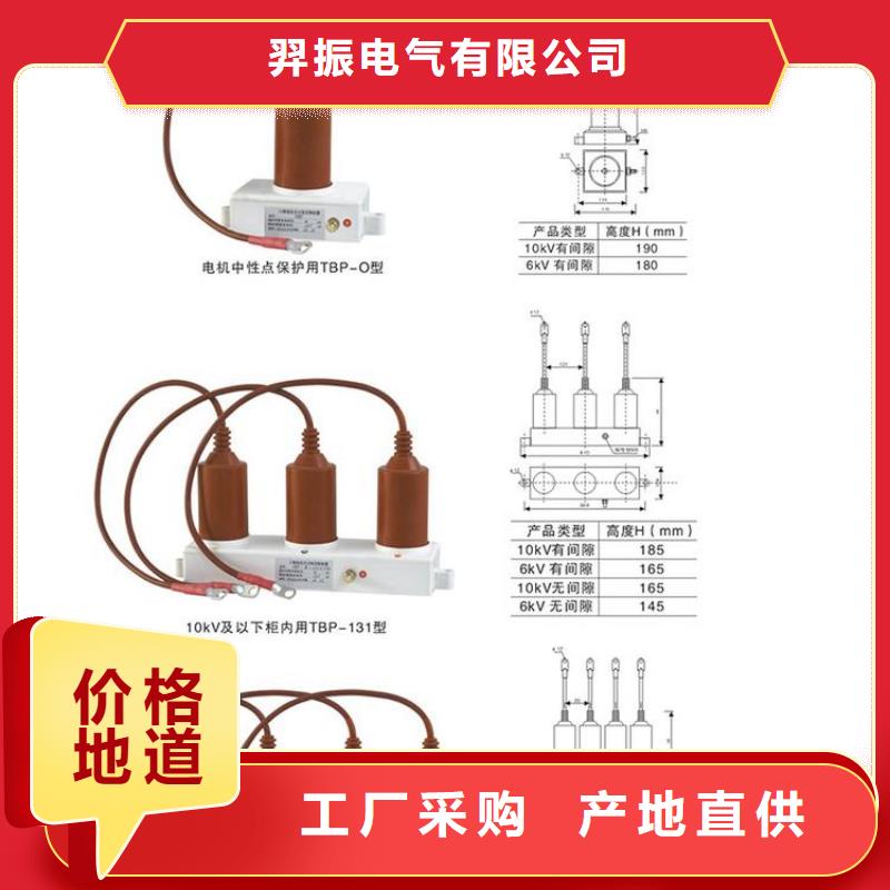 过电压保护器(组合式避雷器)YH5WZ-10/27*10/27