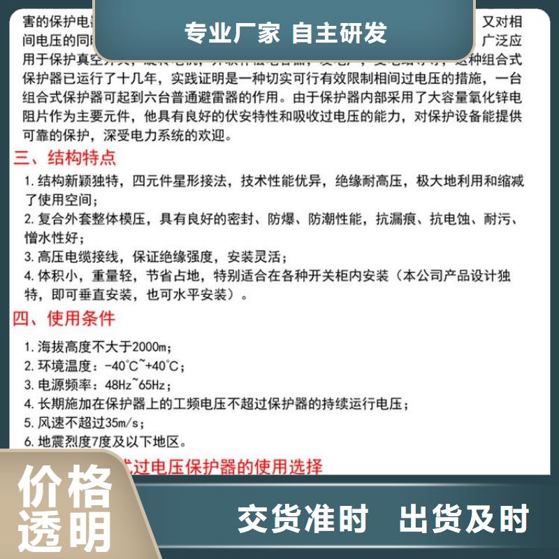 过电压保护器(组合式避雷器)YH5WR-10/27*10/27