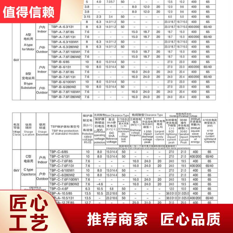 【组合式避雷器】TBP-A-12.7F/85-J