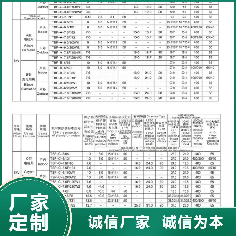 〖过电压保护器〗TBP-A-10.5/85直供厂家