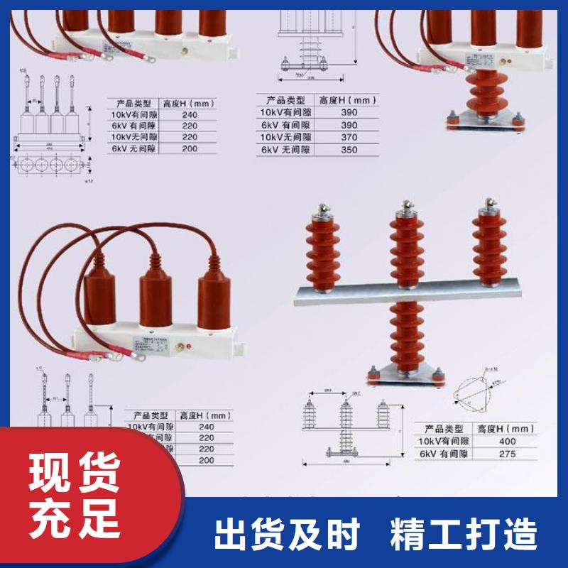 保护器(组合式避雷器)TBP-C-7.6/85-J