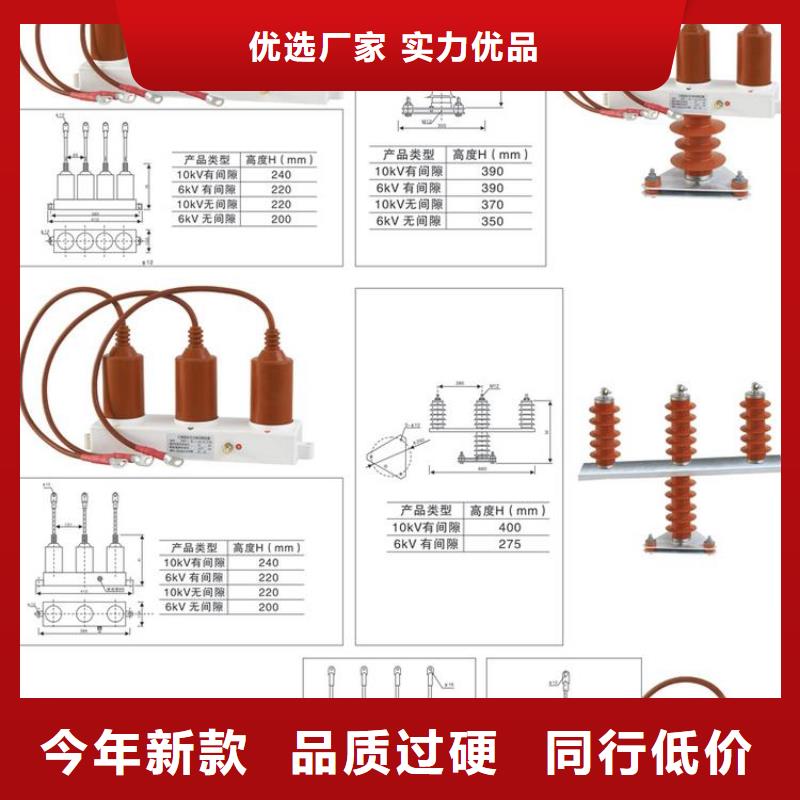 过电压保护器(组合式避雷器)TBP-B-6.3/131