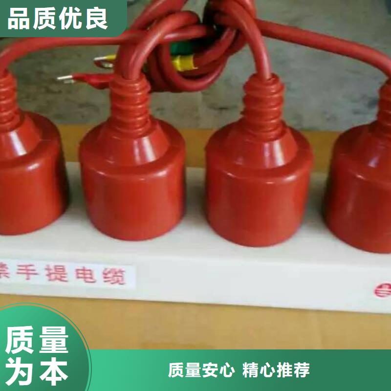 保护器(组合式避雷器)TBP-C-7.6/85-J