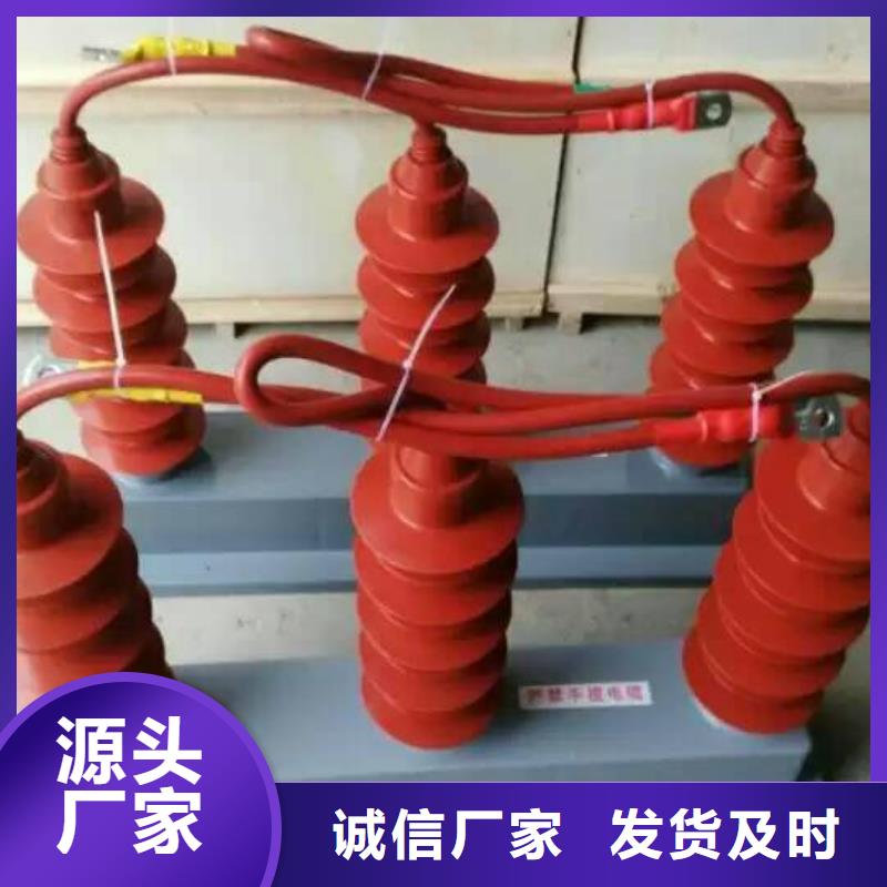 保护器(组合式避雷器)TBP-W-C/35-F组合过电压保护器