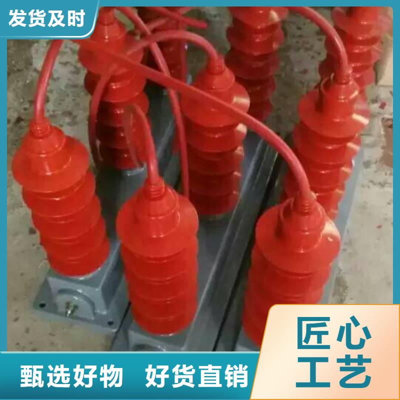 保护器(组合式避雷器)BSTG-C-6.3