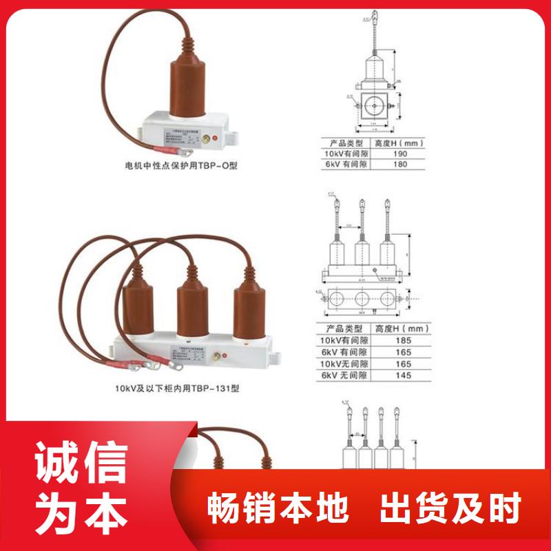 【羿振电力牌】过电压保护器TBP-A-10.5/85-J