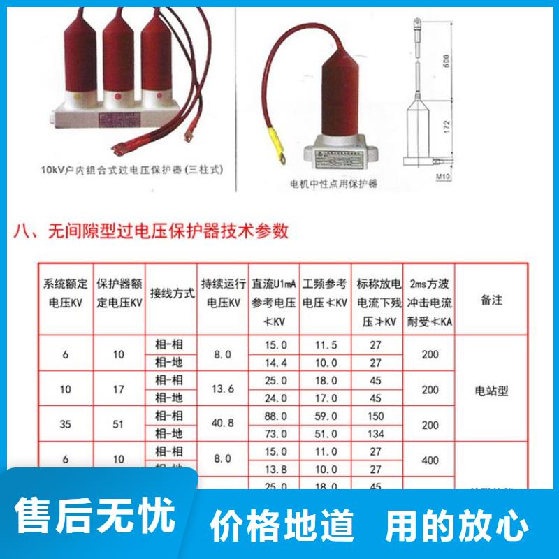 【组合式避雷器】TBP-B-42/200