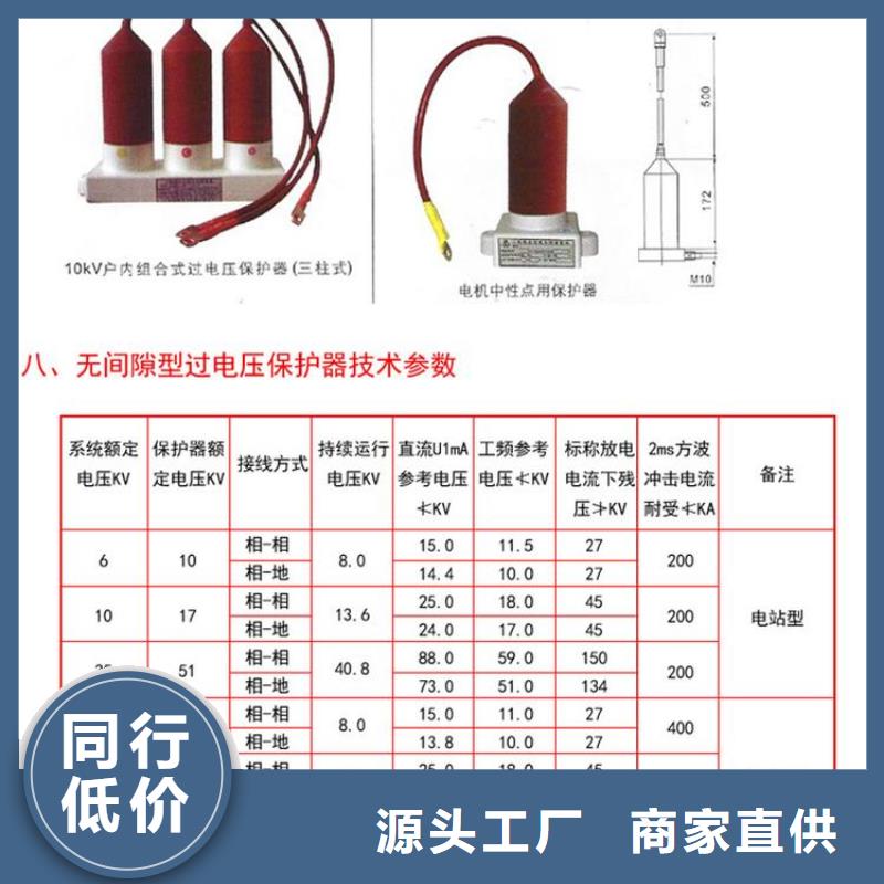 【组合式过电压保护器】TBP-B-12.7F/131N-J