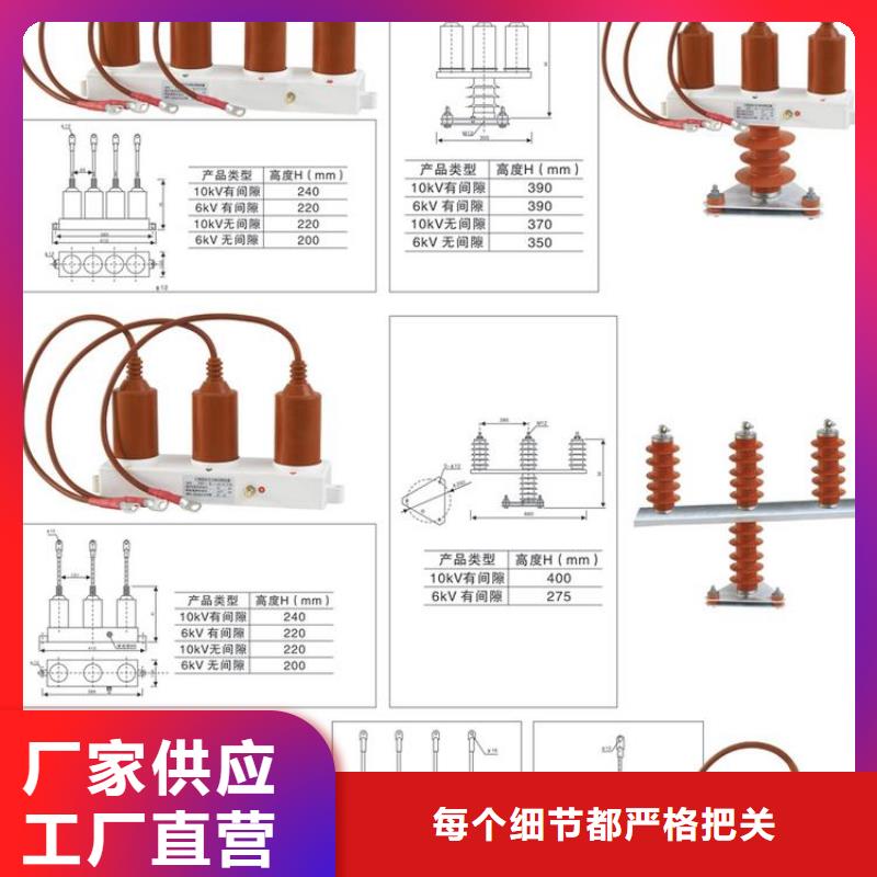 过电压保护器(组合式避雷器)YH5CS-12.7/45*12.7/45