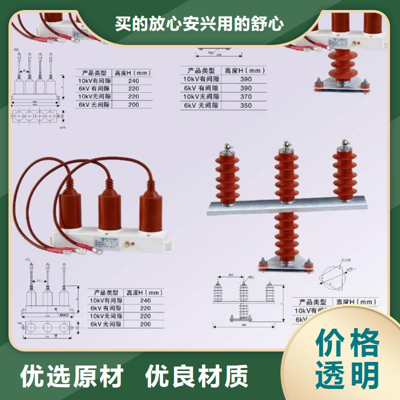 【组合式避雷器】TBP-A-42/310