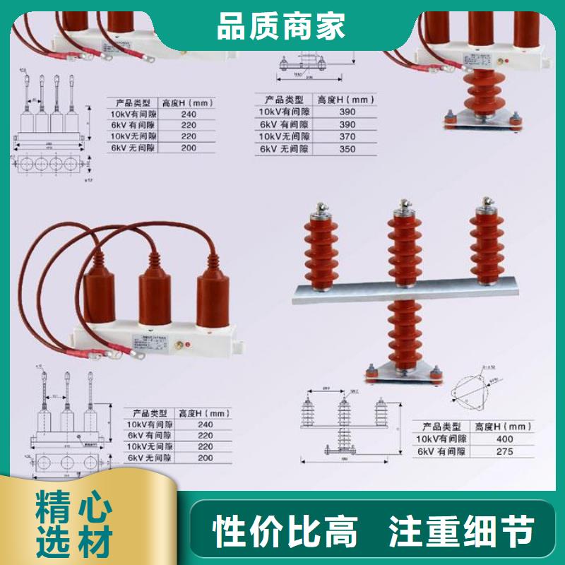 保护器(组合式避雷器)YHB5WZ-17/45*17/45