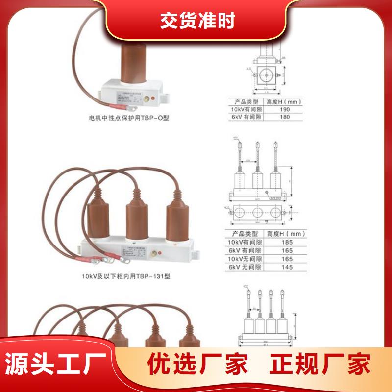 【组合式避雷器】TBP-A-42/310