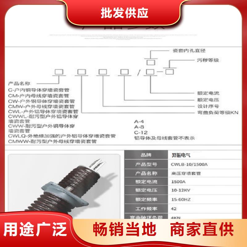 【羿振电力】交流穿墙套管,AC35KV,陶瓷,630A,无CT,铜