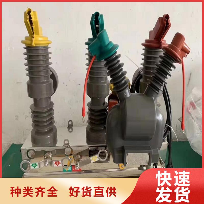 品牌【羿振电气】柱上断路器ZW32-12G/630A