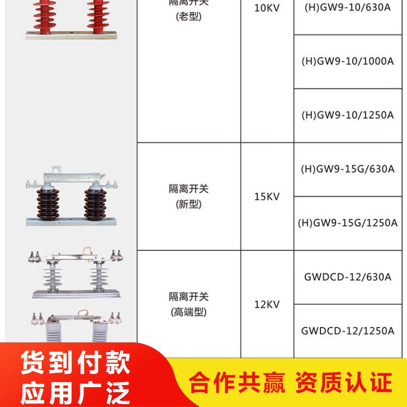 高压隔离开关：GW9-12/1000A推荐厂家.