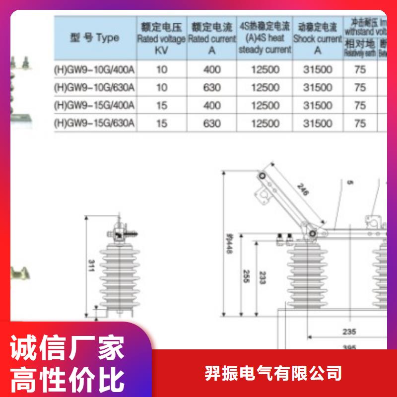 【户外高压交流隔离开关】HGW9-15W/400直供厂家