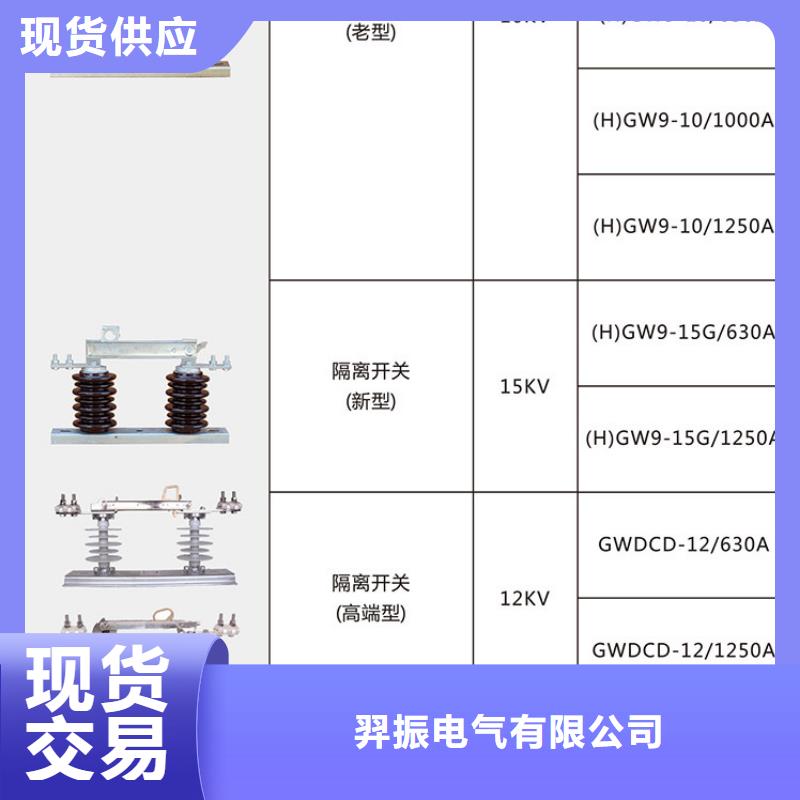 【羿振电气】高压隔离开关*HGW9-12KV/200A源头厂家