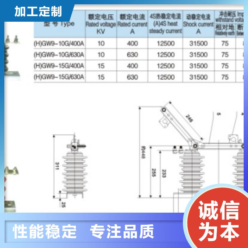 高压隔离开关HGW9-12W/630