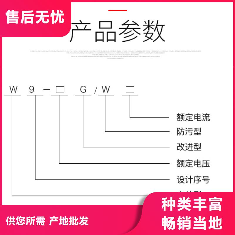 【羿振电气】高压隔离开关*GW9-10KV/1250库存充足