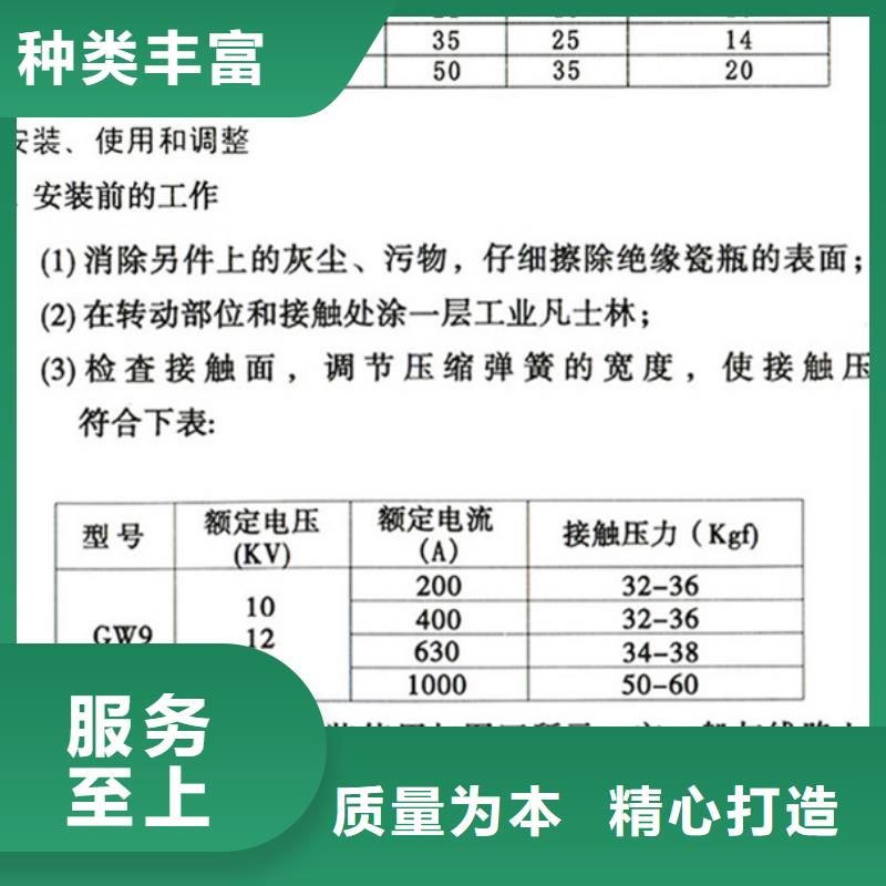 【户外隔离刀闸】HGW9-10/200A