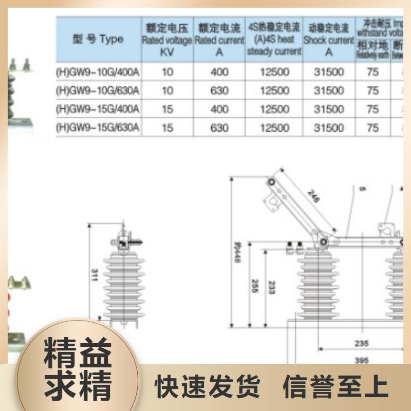 三相交流隔离开关GW9-10KV/630A单柱立开,不接地,操作型式:手动