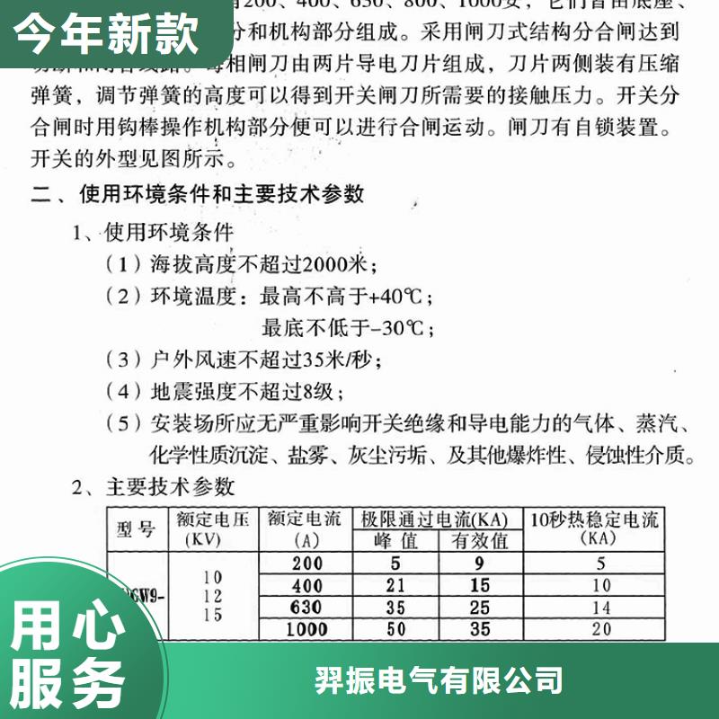 【隔离开关/隔离刀闸】HGW9-10-400