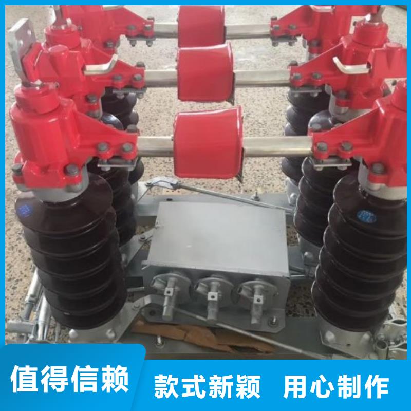 户外高压隔离开关HGW1-10KV/400