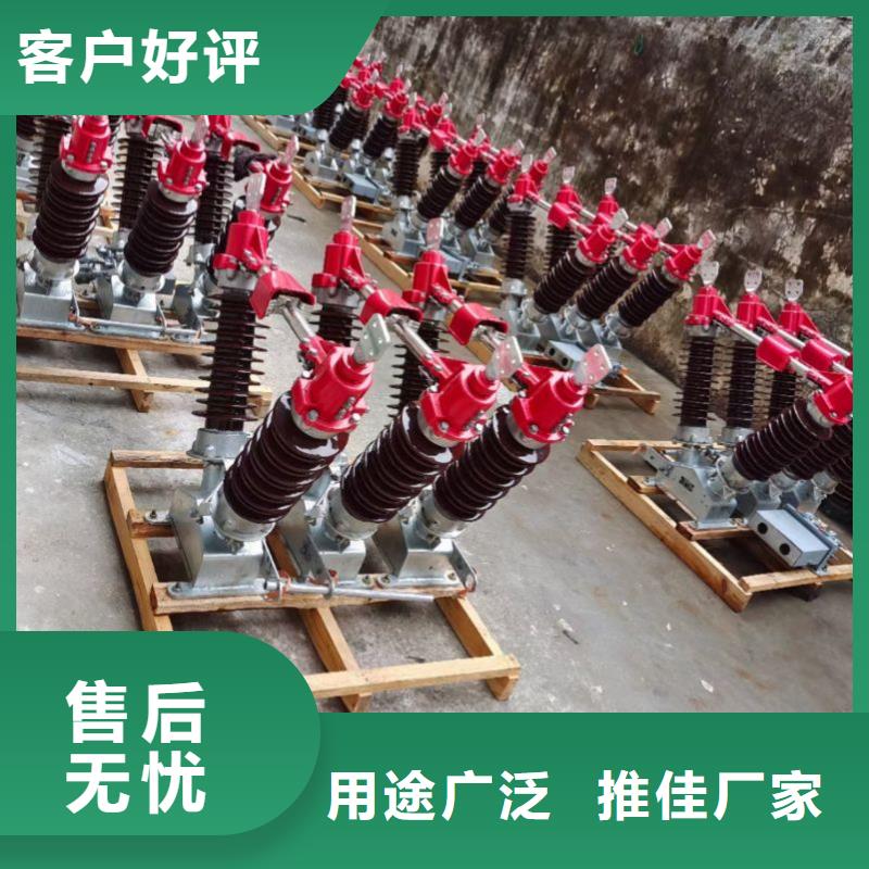 户外高压隔离开关HGW1-10KV/400