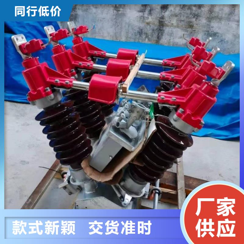 户外高压隔离开关HGW1-10KV/630