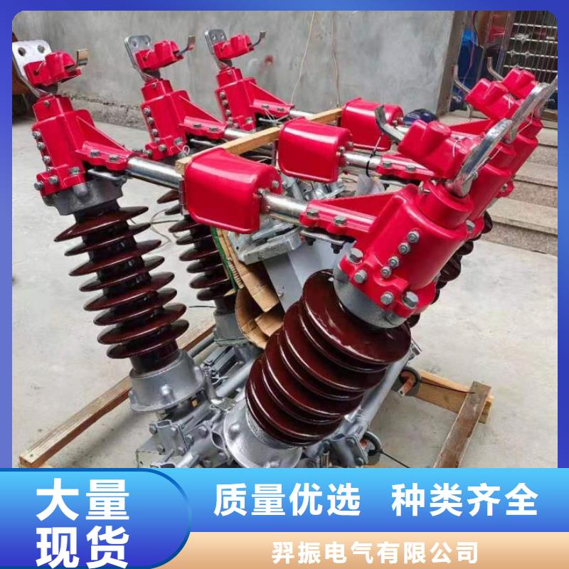 户外高压隔离开关HGW1-10KV/400