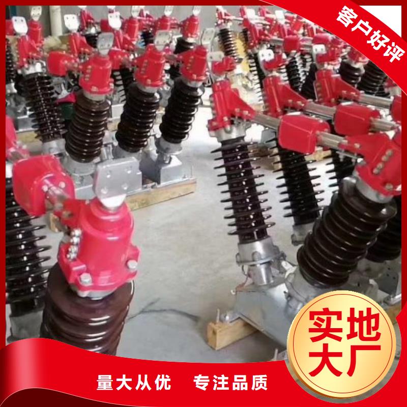 户外高压隔离开关HGW1-10KV/630