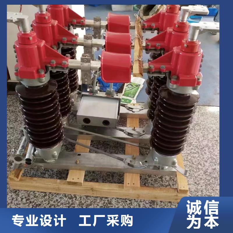 户外高压隔离开关HGW1-10KV/400