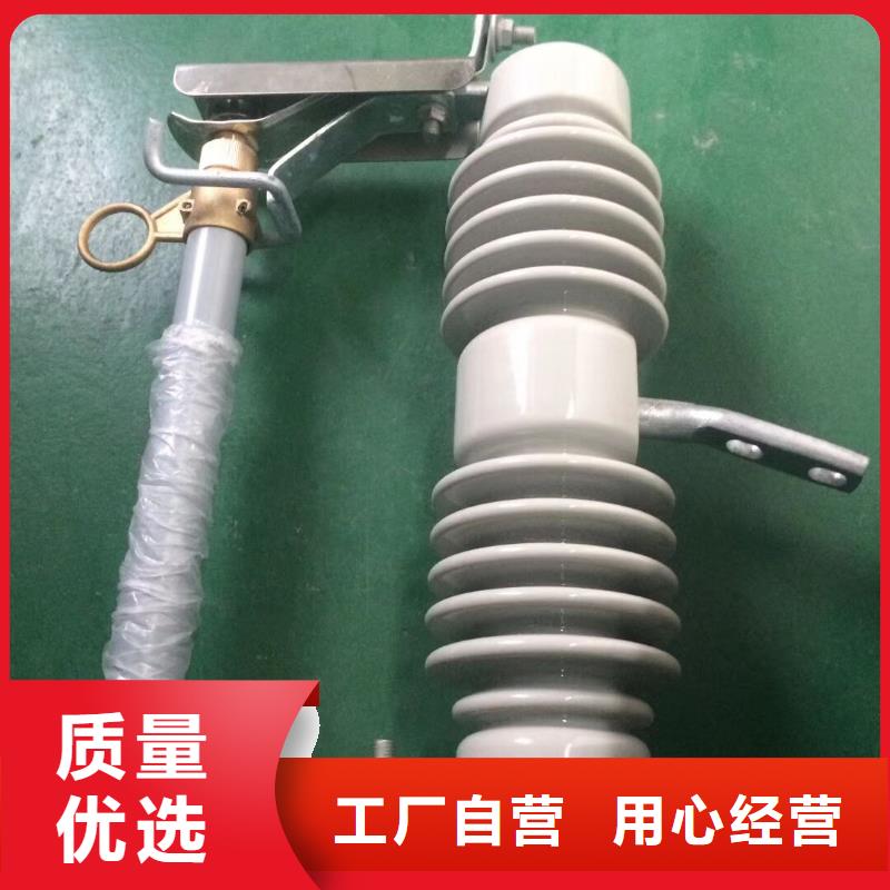 高压熔断器/HRW12-24KV/100