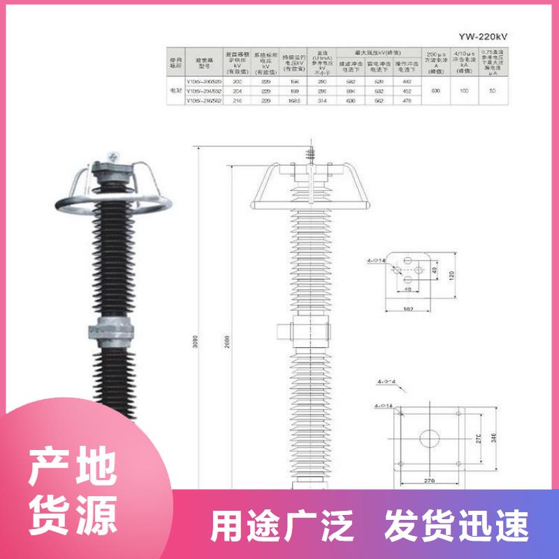 品牌：【羿振电力】避雷器Y10W5-198/565GY