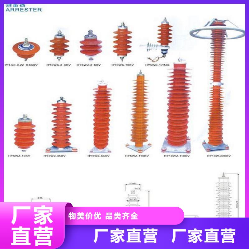 避雷器Y10W-96/250【羿振电力设备】