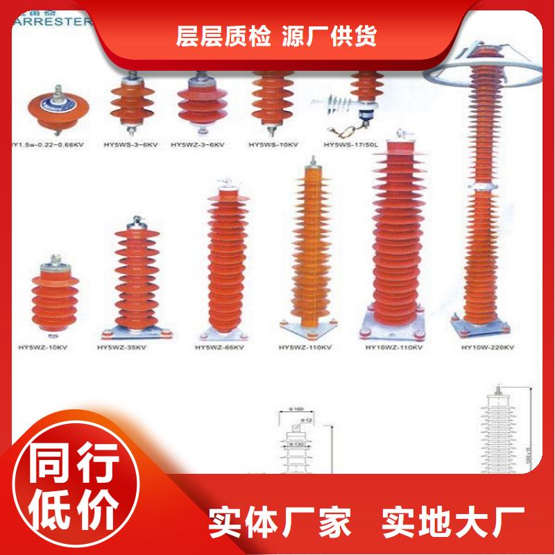 品牌：【羿振电力】避雷器Y10W-192/500