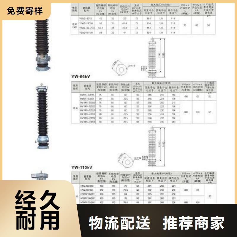 YH10WZ-51/134【浙江羿振电气有限公司】