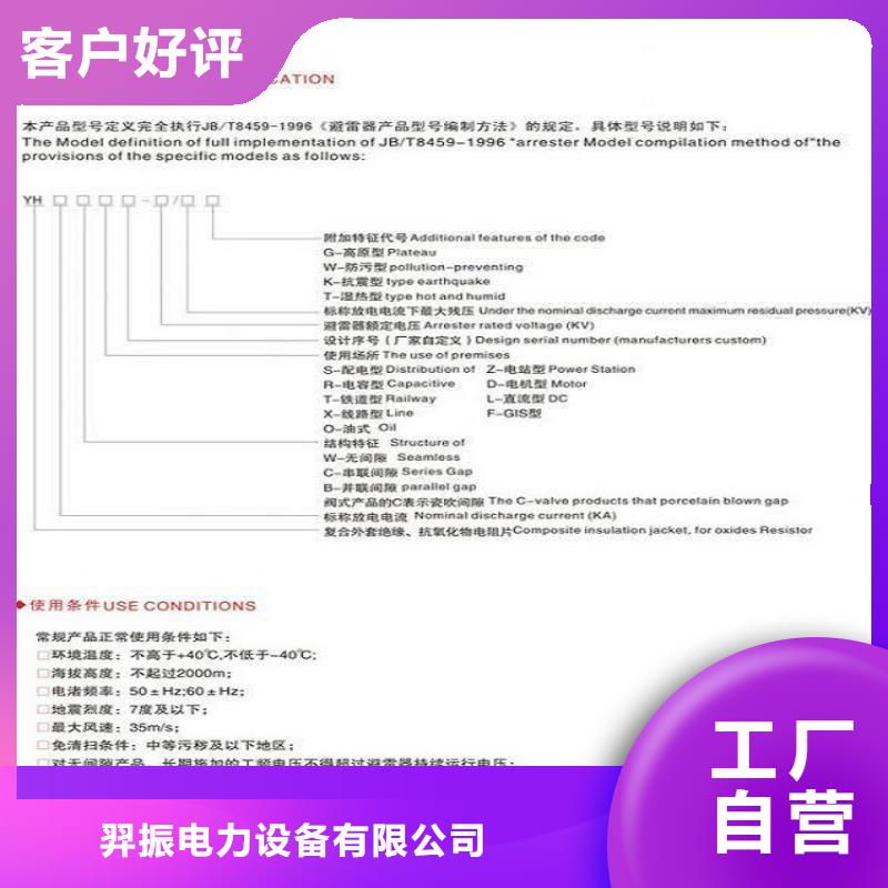 _避雷器HY5CS-3.8/15【羿振电力设备】