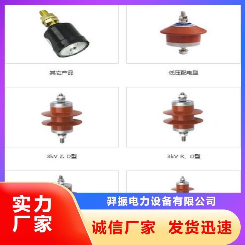 品牌：【羿振电力】金属氧化物避雷器Y10W-200/496