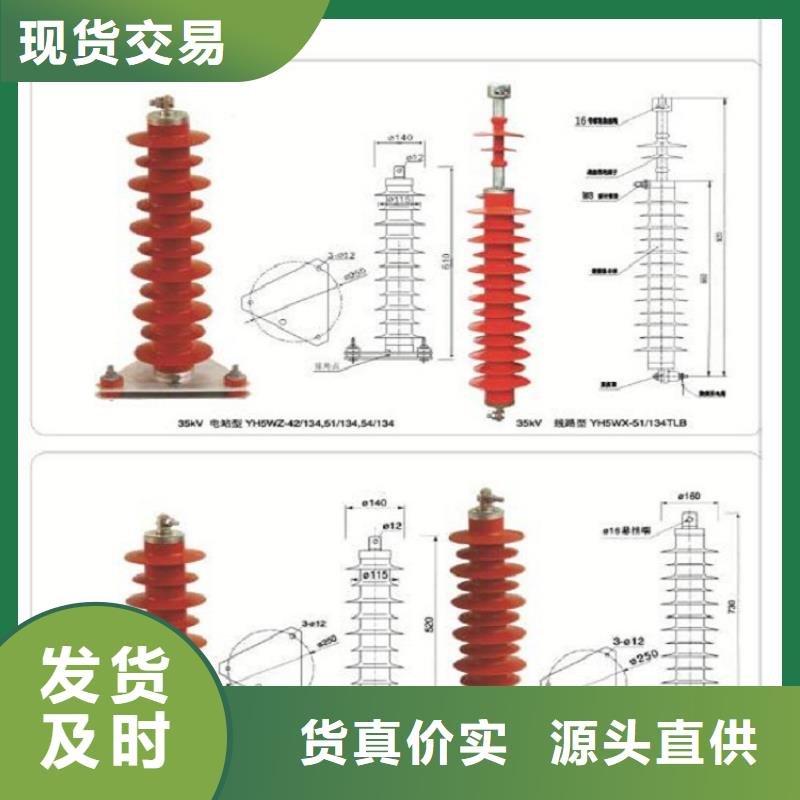 品牌：【羿振电力】避雷器Y10W-192/500