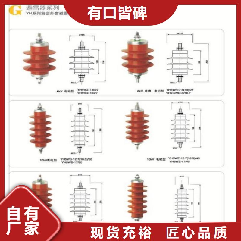 品牌：【羿振电力】金属氧化物避雷器Y10W-200/496