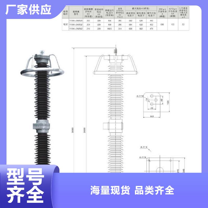 _避雷器YH5WX5-51/134【羿振电力设备】