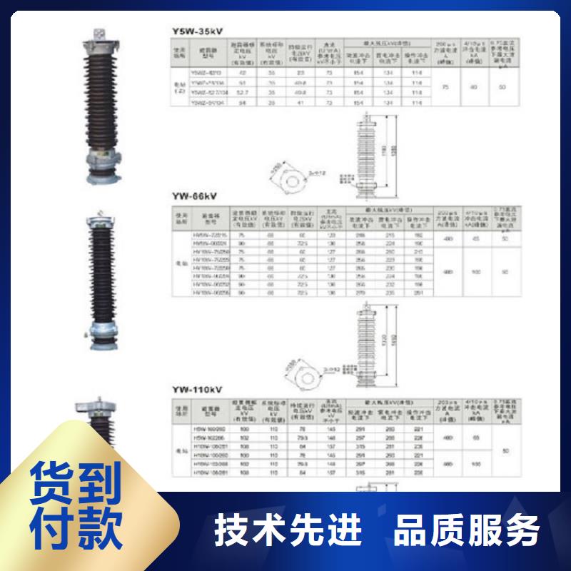 YH10WZ-51/134【浙江羿振电气有限公司】