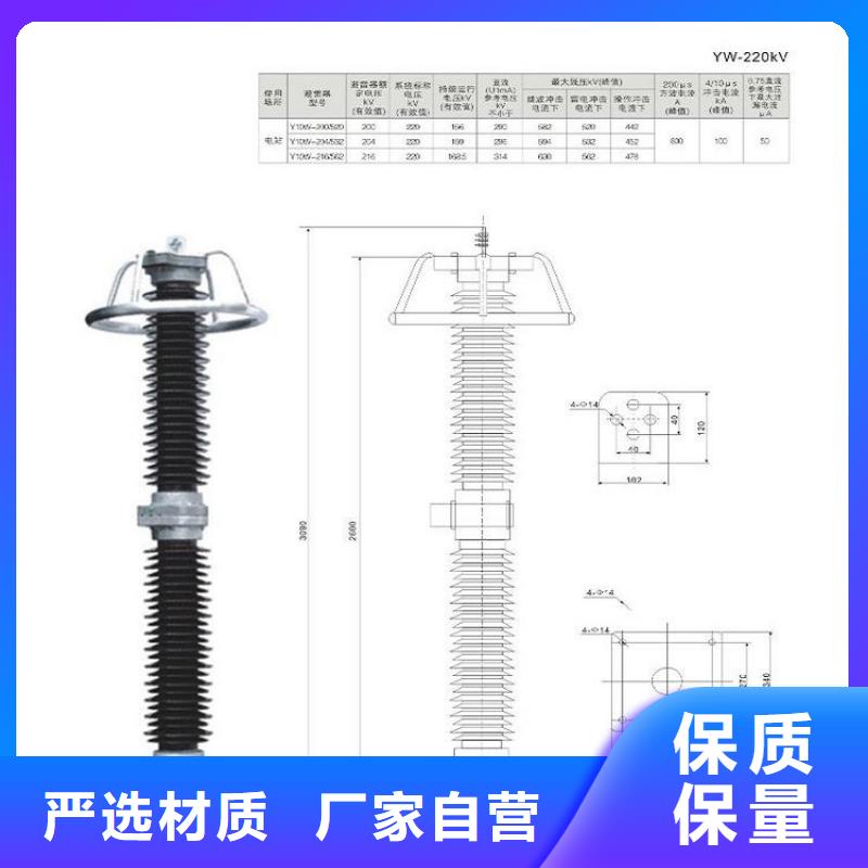 避雷器YH1.5W-55/132上海羿振电力设备有限公司