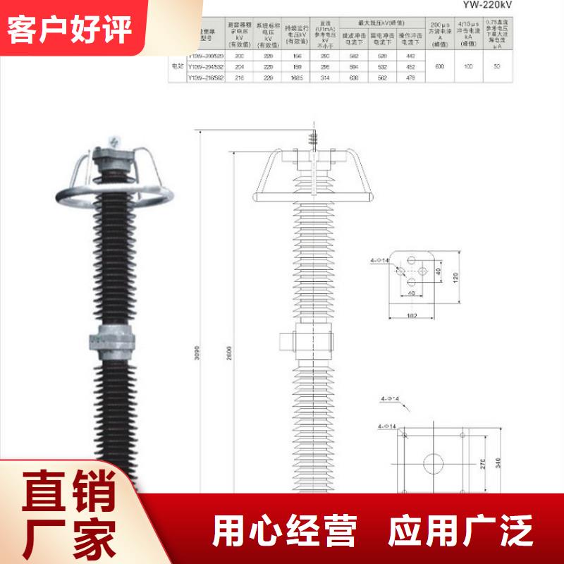 金属氧化物避雷器Y10W-102/266浙江羿振电气有限公司