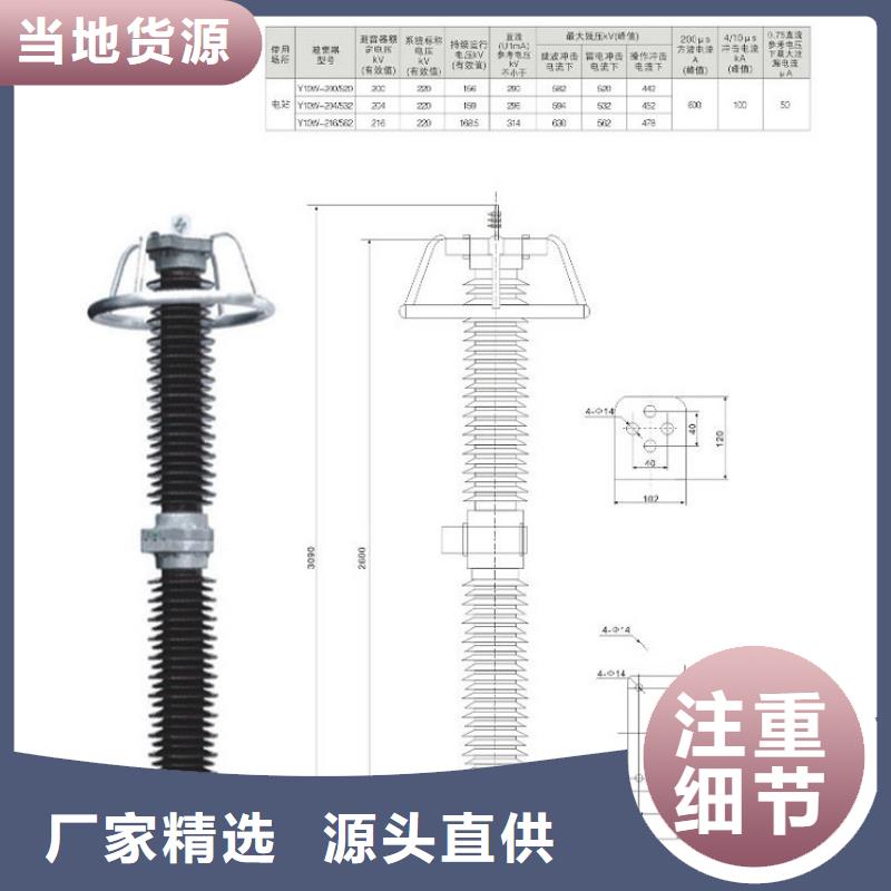 瓷外套金属氧化物避雷器Y10W-192/500羿振电气有限公司