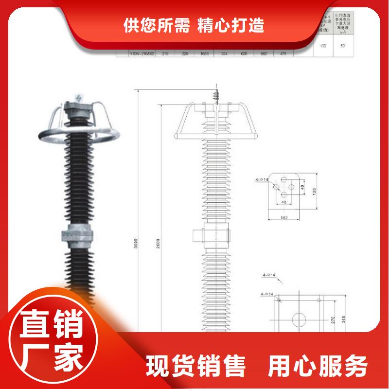 避雷器Y10W1-90/235GW【浙江羿振电气有限公司】