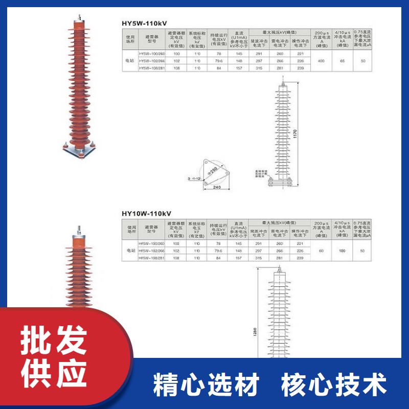 避雷器Y10W1-90/235GW【浙江羿振电气有限公司】