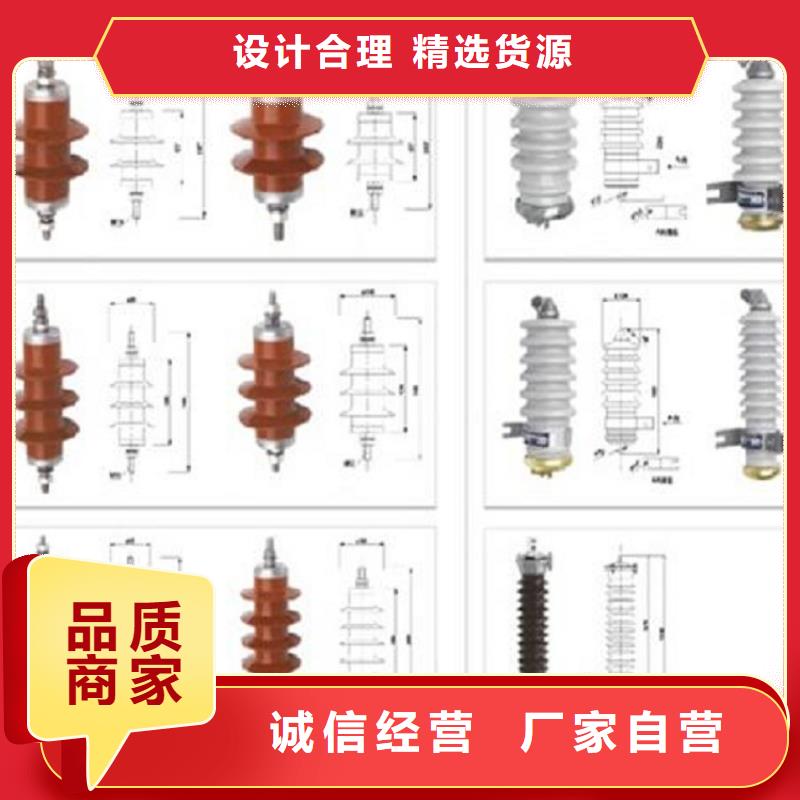 避雷器Y10W1-96/250(G)W