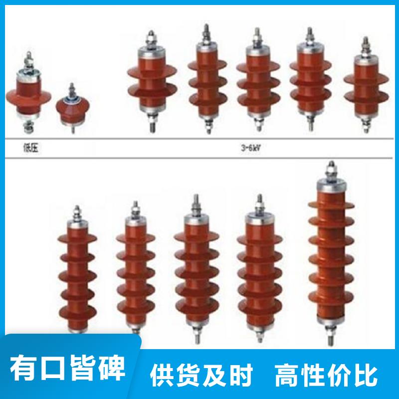 避雷器Y10W1-90/235GW【浙江羿振电气有限公司】